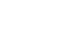 Salomon Logo